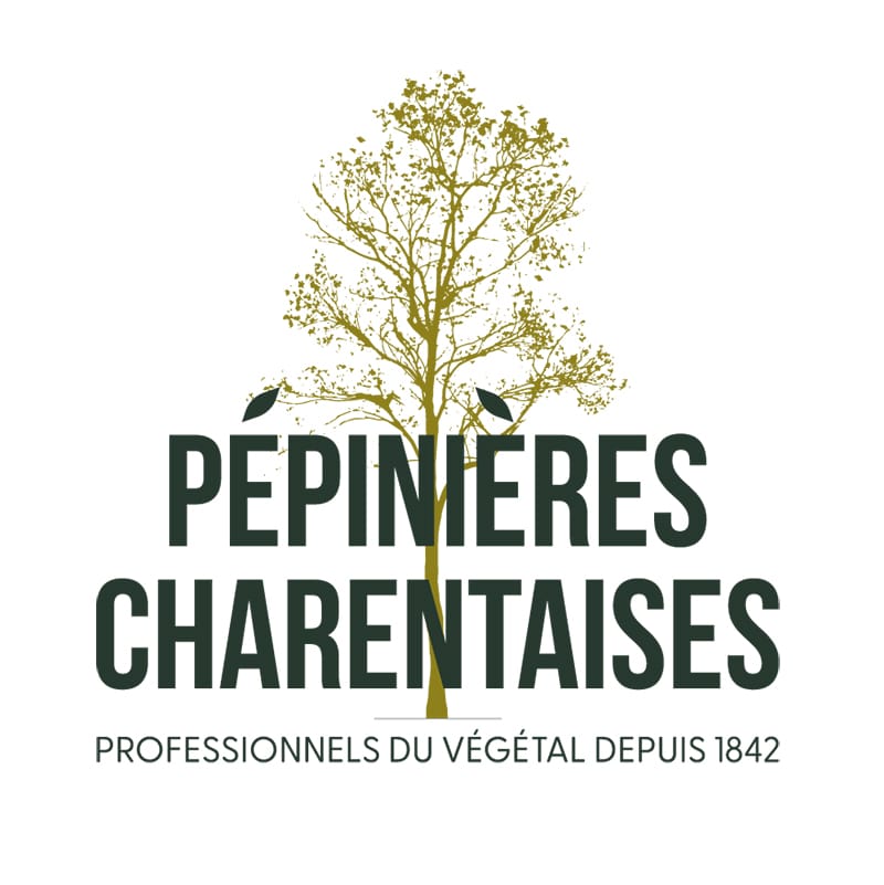 Identite de Marque Pépinières Charentaise : logo